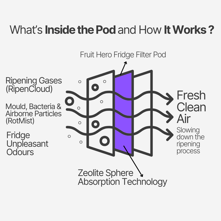 Fruit Hero Fridge Filter Pod | Australia's #1 Fridge Air Filter